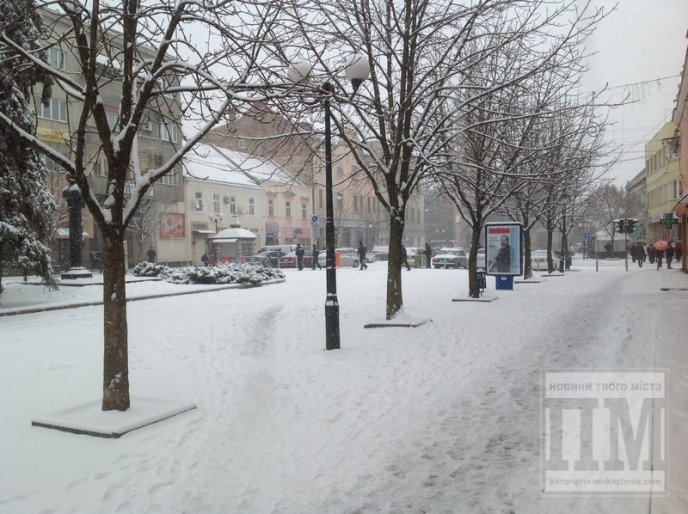 Мукачево та район у сніговій пастці: люди борються з негодою самотужки (ФОТОРЕПОРТАЖ) – 09