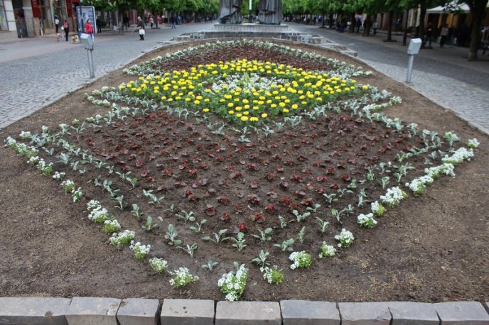 У центрі Мукачева з’явилась клумба у формі вишиванки – 02 У центрі Мукачева з’явилась клумба у формі вишиванки – 02