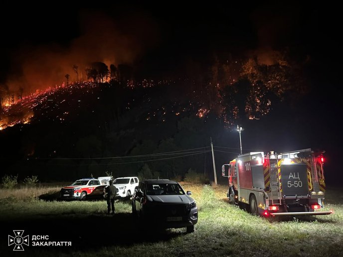 Ліквідація великої пожежі на Мукачівщині триває: до гасіння залучено близько 80 людей – 01
