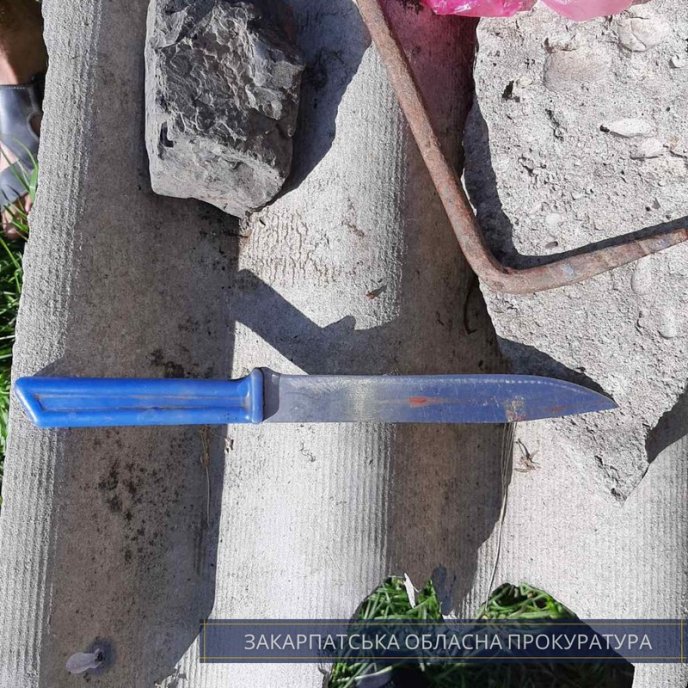 Порізав обличчя: чоловік намагався вбити свою співмешканку – 02