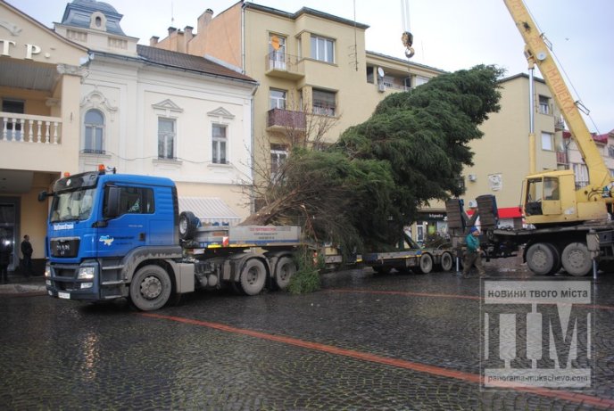 У Мукачеві встановлюють головну новорічну ялинку міста (ФОТО) – 08