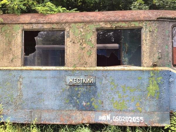 Закарпаття, яке вражає: сільський базар на коліях унікальної вузькоколійки очима проекту "Ukraїner" – 02