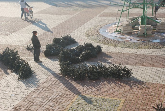 Головна ялинка Іршави цьогоріч буде штучною – 02 Головна ялинка Іршави цьогоріч буде штучною – 02