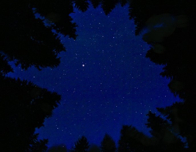 Закарпатки зафіксували унікальне явище: оприлюднені неймовірні фото – 02