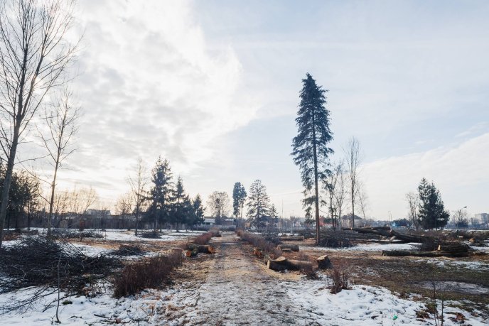 Мукачівці шоковані вирубкою парку "Перемоги" у місті (ФОТО) – 03