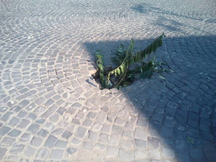 У центрі Мукачева на дорозі утворилось провалля – 01