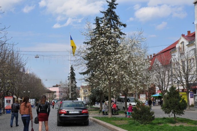 У Мукачеві зацвіли перші сакури та магнолії: місто в очікуванні туристів (ФОТО) – 10 У Мукачеві зацвіли перші сакури та магнолії: місто в очікуванні туристів (ФОТО) – 10