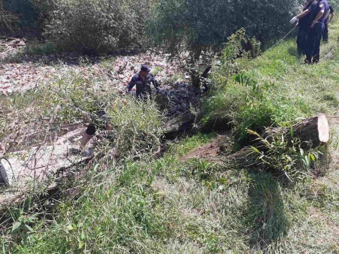 Сотні пляшок та повалені дерева: на Берегівщині розчищали річку – 04