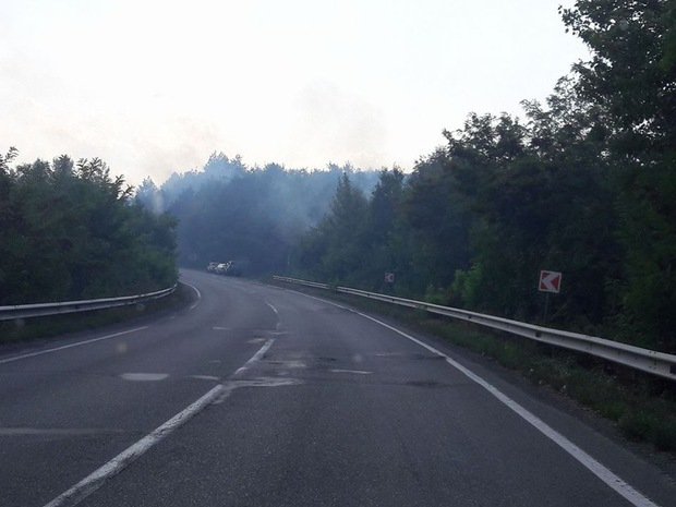 У Чинадієві неподалік траси пожежа – 04