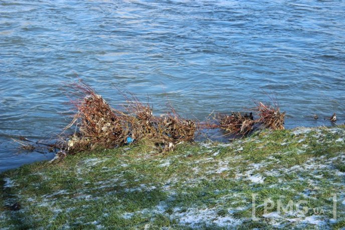 Січнева велика вода залишила по собі купу сміття на берегах Латориці – 06 Січнева велика вода залишила по собі купу сміття на берегах Латориці – 06