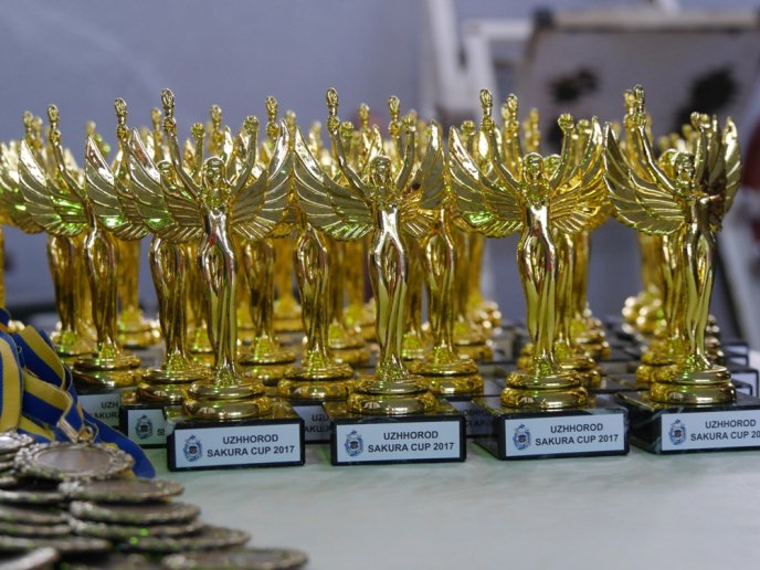 В обласному центрі відбувся Міжнародний турнір з тхеквондо "Uzhhorod Sakura Cup 2017" – 01 В обласному центрі відбувся Міжнародний турнір з тхеквондо "Uzhhorod Sakura Cup 2017" – 01