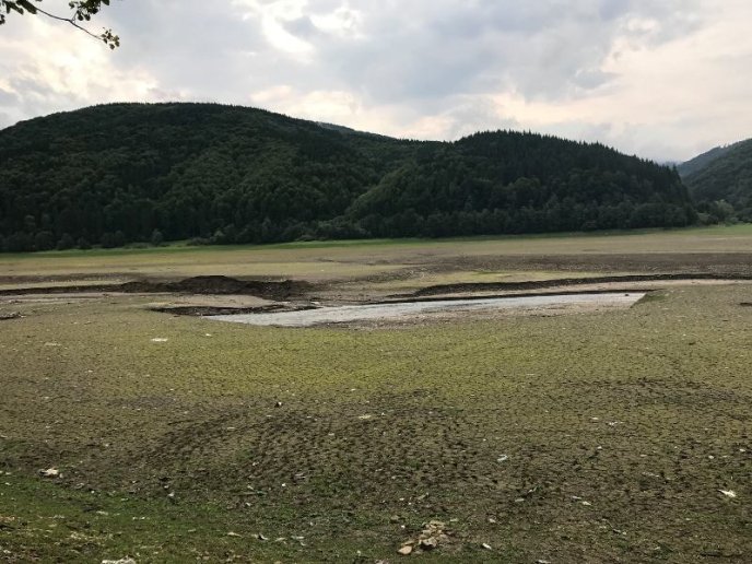 Пустеля серед лісу: як виглядає осушене Вільшанське водосховище – 04