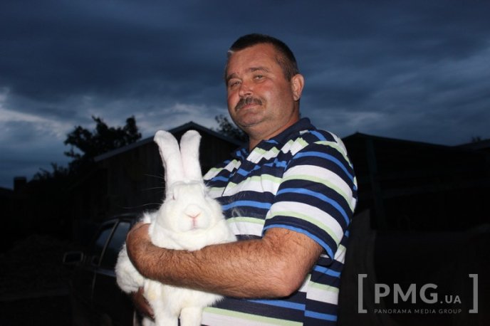 Закарпатець розводить кролів і непогано на цьому заробляє – 16