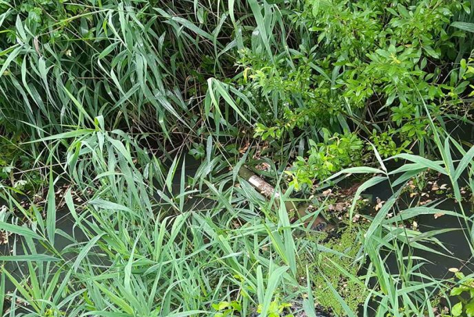 Обстріл комплексу AQUA City в Мукачеві: нові деталі інциденту – 02 Обстріл комплексу AQUA City в Мукачеві: нові деталі інциденту – 02