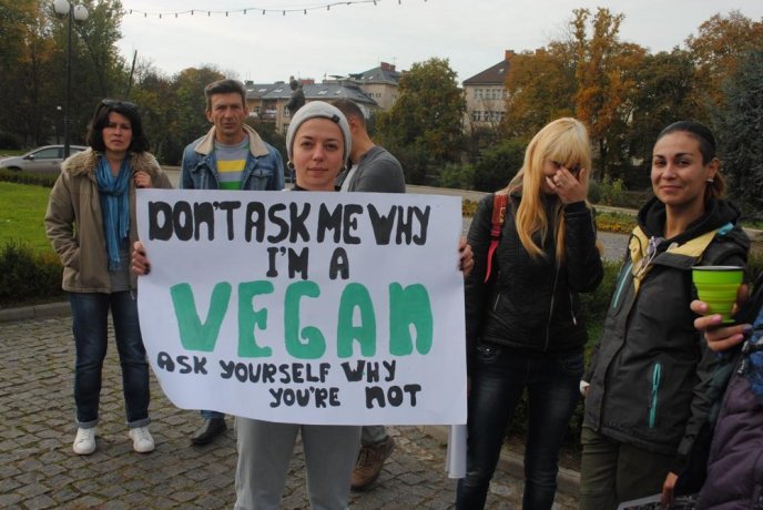 Пес на візку став одним із учасників маршу за права тварин в Ужгороді – 02