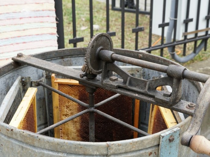 В обласному центрі триває "Медовуха Фест" – 16