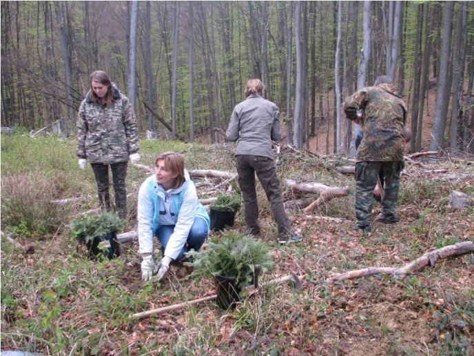 Закарпатський "Народний фронт" долучився до Алеї миру – 04