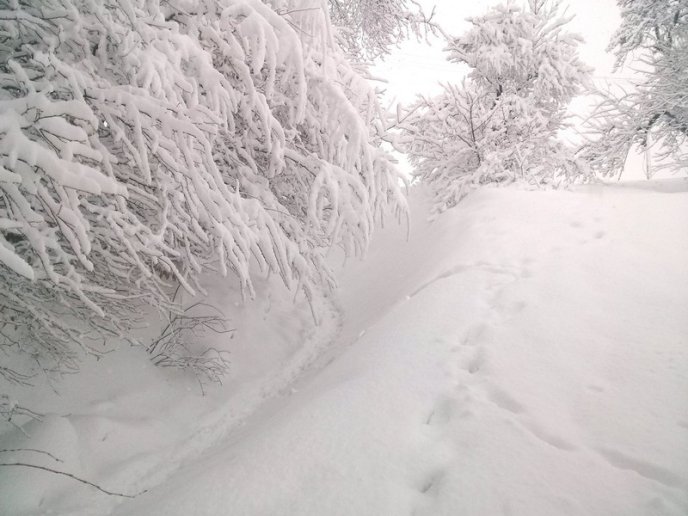 Казкова зима у селі Брестів на Мукачівщині: неймовірні фото – 16