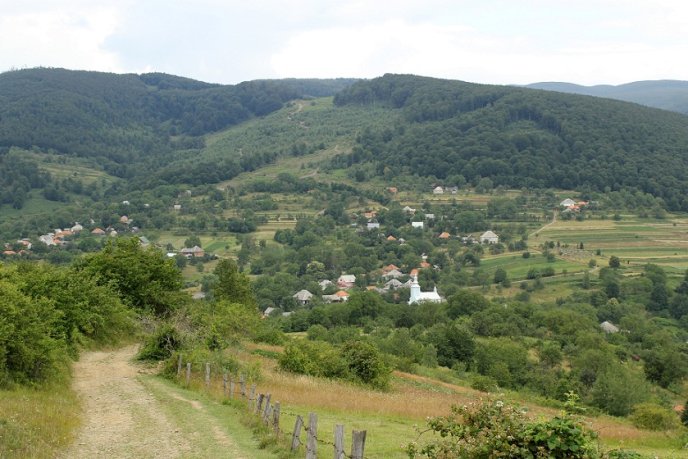 Вихованці Мукачівського клубу спортивного орієнтування "Товариш" відкрили сезон подорожей (ФОТО) – 13
