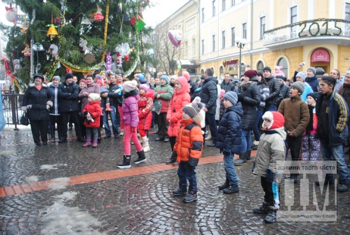 У Мукачеві офіційно розпочався фестиваль "Червене вино - 2015" (ФОТОРЕПОРТАЖ) – 22