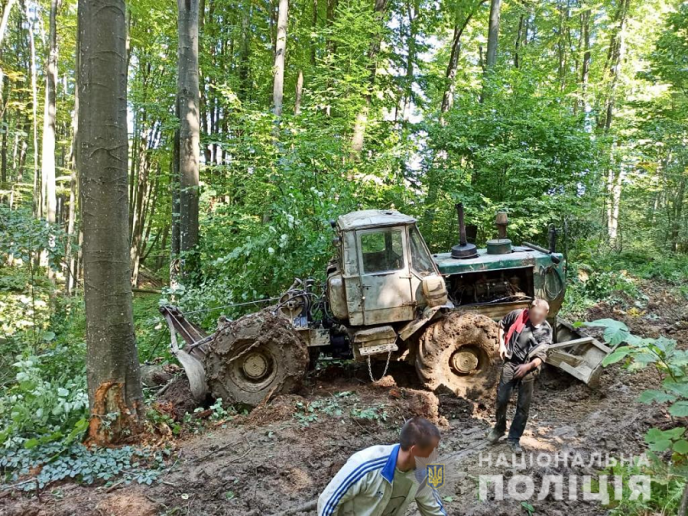 Поблизу Сваляви викрили "чорних лісорубів" – 01
