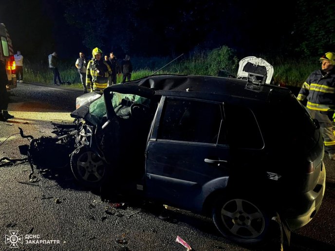 Аварія поблизу Залужжя: рятувальники розповіли подробиці – 05