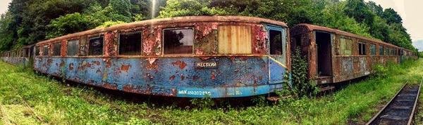 Закарпаття, яке вражає: сільський базар на коліях унікальної вузькоколійки очима проекту "Ukraїner" – 09