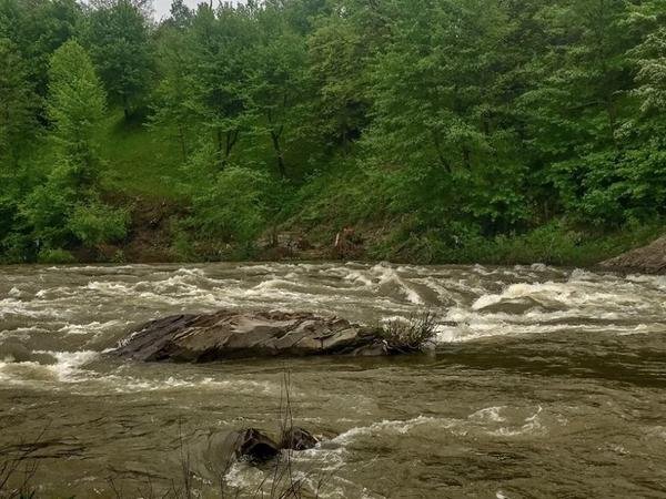 У річках Закарпаття піднявся рівень води – 05