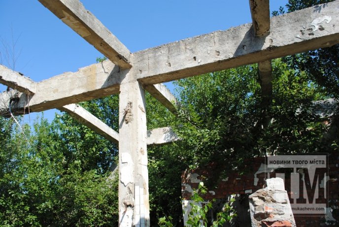 Маленька Прип’ять по сусідству зі школою та багатоквартирним масивом (ФОТО) – 19