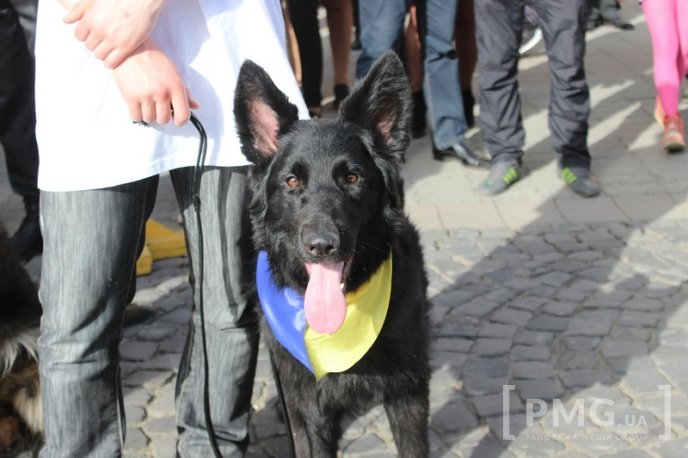 У Мукачеві урочисто відкрили чемпіонат світу зі слідової роботи службових собак – 55