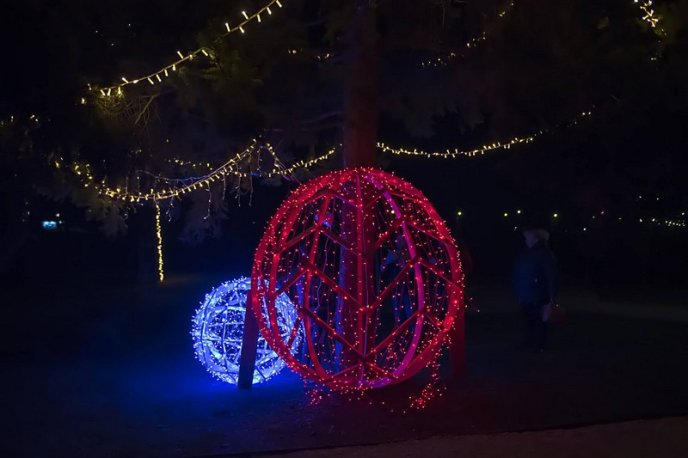 Урочисте відкриття фестивалю "Червене вино": чим дивуватимуть гостей заходу – 03