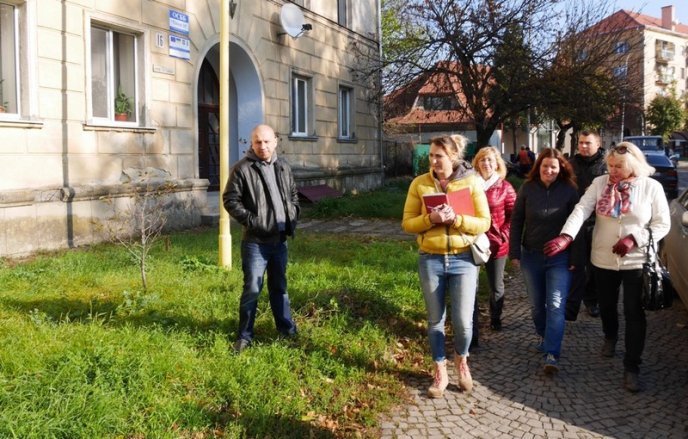 Цього місяця в Ужгороді висадять 250 дерев – 11