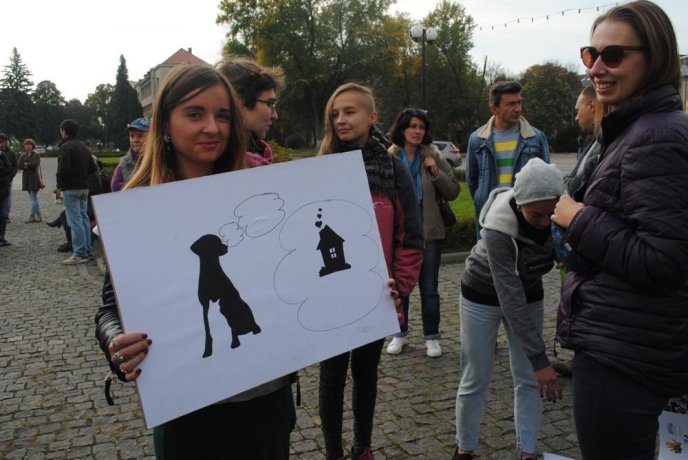 Пес на візку став одним із учасників маршу за права тварин в Ужгороді – 03