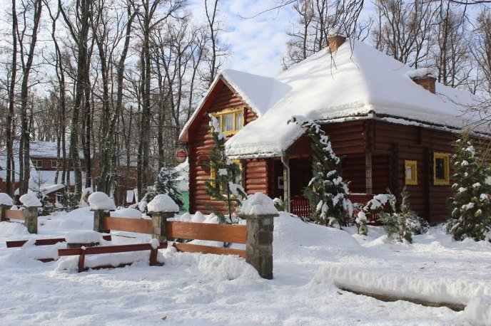 Мукачівці розповіли дивовижну історію своєї подорожі околицями міста – 12