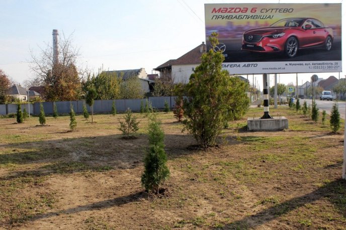 На одному з перехресть Мукачева провели благоустрій зеленої зони – 09