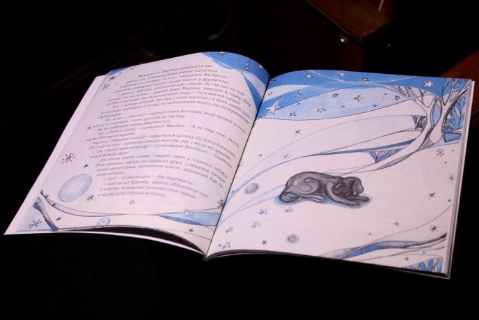 На Закарпатті яскраво стартував проект "Все Закарпаття читає дітям" – 06