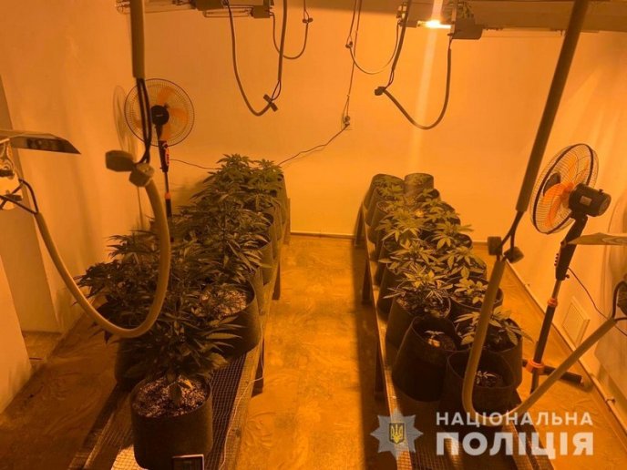 Чоловік облаштував на дачі міні-лабораторію для вирощування конопель – 01