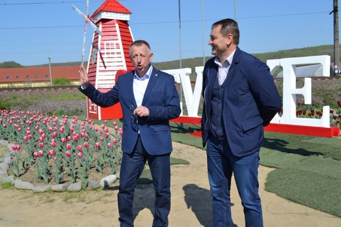 При в’їзді в село Невицьке розквітли тисячі тюльпанів – 03 При в’їзді в село Невицьке розквітли тисячі тюльпанів – 03