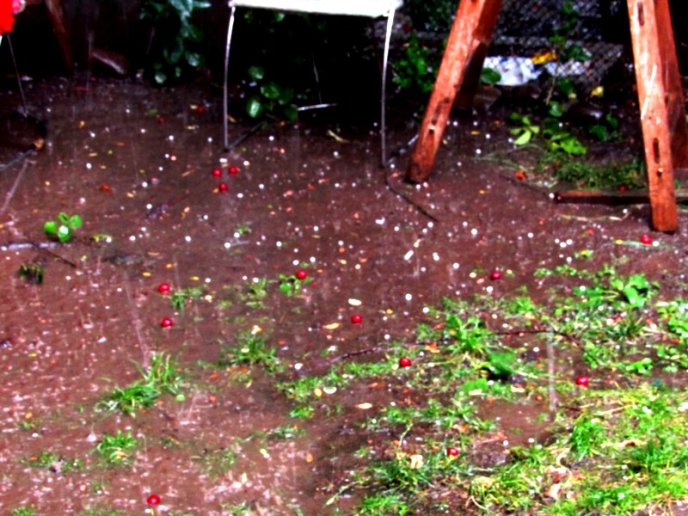 У Мукачеві під час сильної зливи випав град розміром з вишню – 03