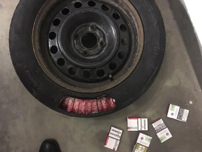 Білка допомогла прикордонникам виявити контрабанду – 01