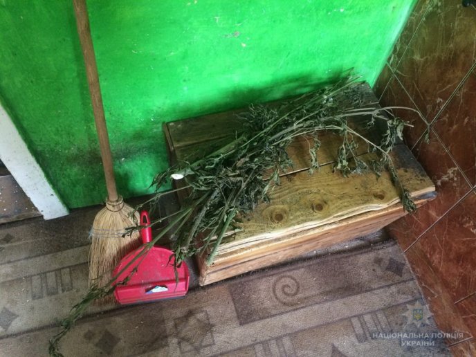 Зброя, набої, наркотики: у чоловіка під час обшуку виявили чимало забороненого – 03