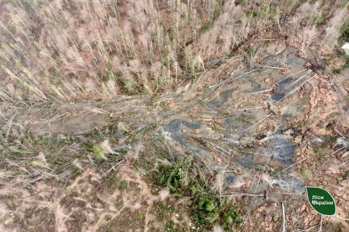 На Закарпатті відбувся масштабний зсув ґрунту: фото наслідків – 02