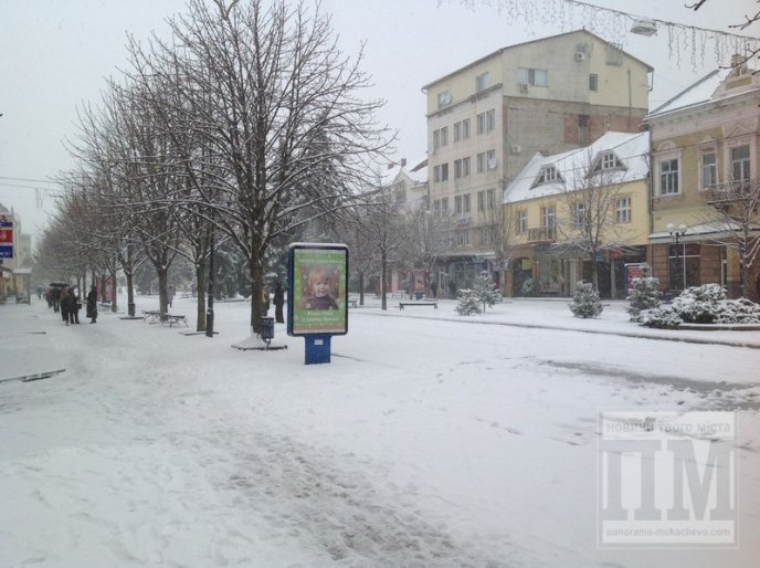 Мукачево та район у сніговій пастці: люди борються з негодою самотужки (ФОТОРЕПОРТАЖ) – 08