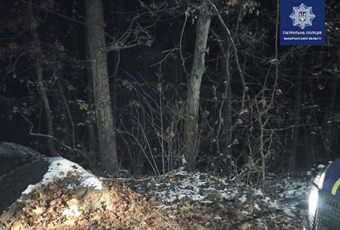 У ботанічному саду УжНУ вночі нахабно вирубували дерева – 01