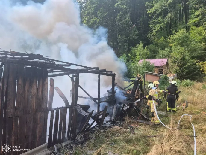 Пожежникам у Чинадієві вдалося врятувати будинок від вогню, але дривітня згоріла – 01 Пожежникам у Чинадієві вдалося врятувати будинок від вогню, але дривітня згоріла – 01