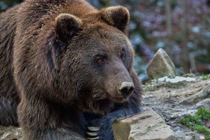 Інтернет-користувачів вразили "зимові" фотографії озера Синевир – 12