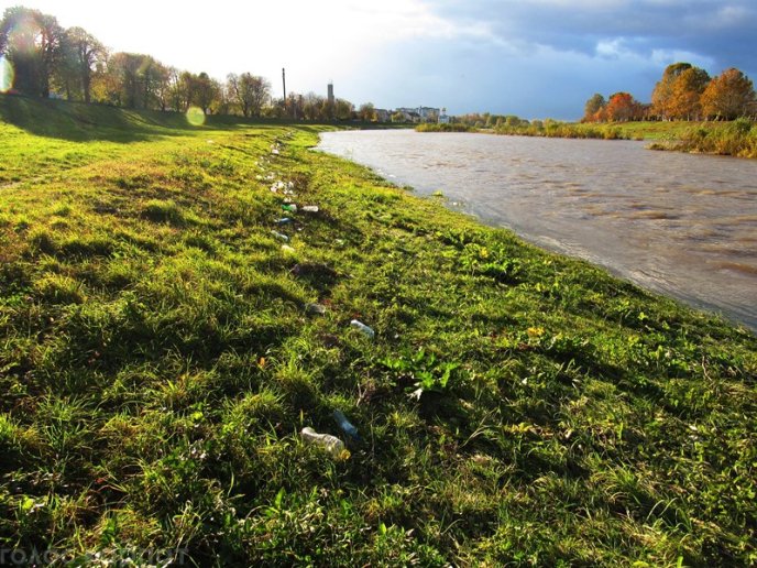 На березі Латориці у Мукачеві з’явилися купи пластикового сміття – 10 На березі Латориці у Мукачеві з’явилися купи пластикового сміття – 10