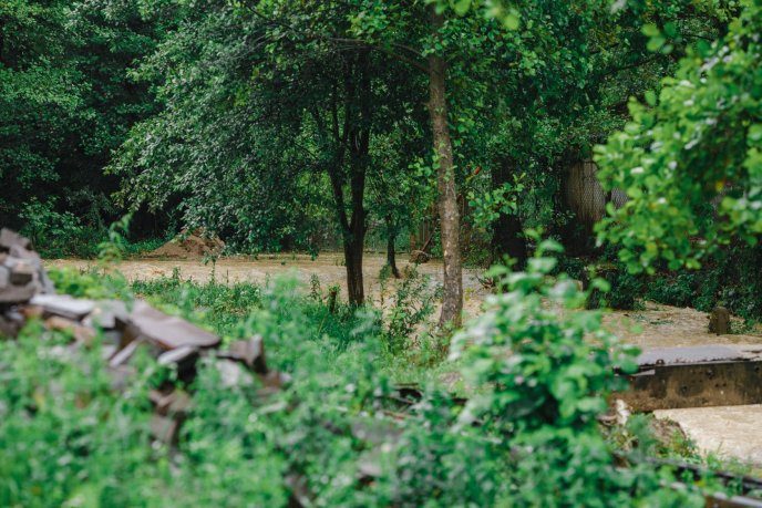 Сильна злива: на Іршавщині підтопило село – 05