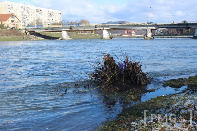Січнева велика вода залишила по собі купу сміття на берегах Латориці – 01 Січнева велика вода залишила по собі купу сміття на берегах Латориці – 01