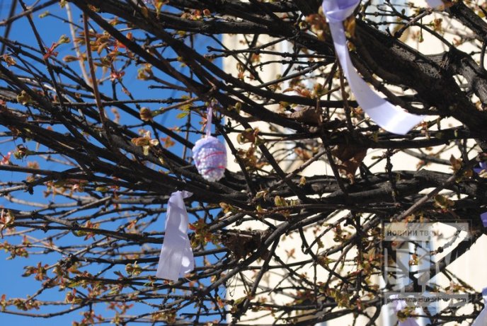 У Мукачеві студенти прикрашають дерева писанками та патріотичними стрічками (ФОТО) – 04